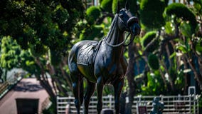 Santa Anita Park Horse Racing imagem de stock royalty free Santa Anita Park Horse Racing imagem de stock royalty free