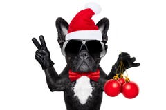 Santa Claus Christmas Dog Stock Images
