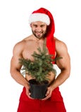 Santa Claus forte avec l'arbre de Noël dans un pot dans sa main, image stock Santa Claus forte avec l'arbre de Noël dans un pot dans sa main, image stock