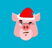 Santa Pig Winks Emoji Jolly Piggy Avatares de la Navidad ilustración del vector Santa Pig Winks Emoji Jolly Piggy Avatares de la Navidad ilustración del vector