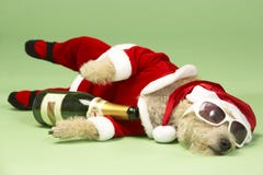 santa σκυλιών κοστουμιών santa σκυλιών κοστουμιών