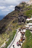 Santorini, Ελλάδα, τον Απρίλιο του 2019 Άλογα και γάιδαροι στο νησί Santorini - η παραδοσιακή μεταφορά για τους τουρίστες Ζώα επά στοκ εικόνα Santorini, Ελλάδα, τον Απρίλιο του 2019 Άλογα και γάιδαροι στο νησί Santorini - η παραδοσιακή μεταφορά για τους τουρίστες Ζώα επά στοκ εικόνα
