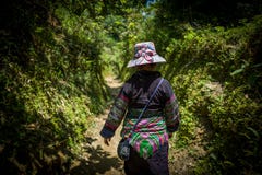 Sapa, Vietnam - April 23, 2018: Local female guide walks in the beautiful nature of Spa, Vietnam. stock photo Sapa, Vietnam - April 23, 2018: Local female guide walks in the beautiful nature of Spa, Vietnam. stock photo