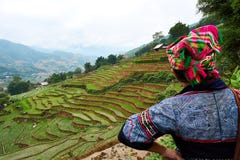 Sapa, Vietnam - 22 mai 2019 Olhar vietnamiano do tribo do monte na vista sobre o ricefield no valey do sapa de chai do lao em Vie imagem de stock Sapa, Vietnam - 22 mai 2019 Olhar vietnamiano do tribo do monte na vista sobre o ricefield no valey do sapa de chai do lao em Vie imagem de stock