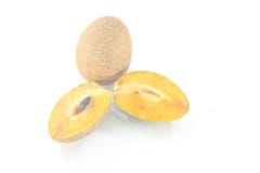 Sapodilla stock photography Sapodilla stock photography