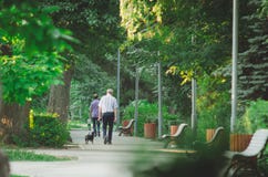 A man is walking with a dog in the City Park in the morning royalty free stock photography A man is walking with a dog in the City Park in the morning royalty free stock photography