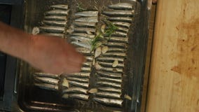 Sardinas Sardinas