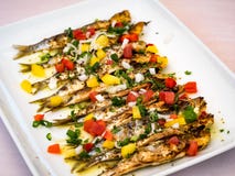 Sardines stock images Sardines stock images
