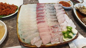 Sashimi tuna raw fish yellowtail sashimi flatfish sashimi rockfish food royalty free stock photos Sashimi tuna raw fish yellowtail sashimi flatfish sashimi rockfish food royalty free stock photos