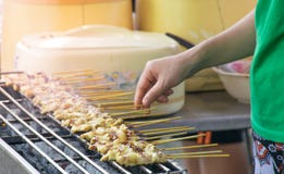 satay pork royaltyfri bild satay pork royaltyfri bild