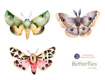 Satz handgemalte Aquarellschmetterlinge und -motten der hohen Qualität lizenzfreie abbildung Satz handgemalte Aquarellschmetterlinge und -motten der hohen Qualität lizenzfreie abbildung