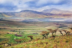 Savannah landscape in Tanzania, Africa royalty free stock photos Savannah landscape in Tanzania, Africa royalty free stock photos
