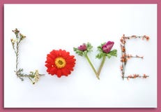 Say It With Flowers: Love royalty free stock photo Say It With Flowers: Love royalty free stock photo