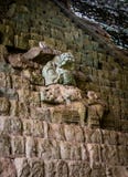 Scala geroglifiche alle rovine maya - sito archeologico di Copan, Honduras fotografie stock Scala geroglifiche alle rovine maya - sito archeologico di Copan, Honduras fotografie stock