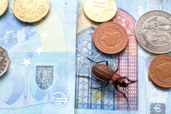 Scarab?e rectifi? sur le billet vingt euros, petites pi?ces de l'Europe photos stock Scarab?e rectifi? sur le billet vingt euros, petites pi?ces de l'Europe photos stock