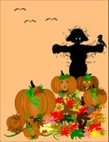 Scarecrow In Pumpkin Patch Stock Image