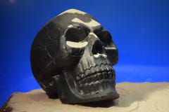 An scary symbol of Halloween royalty free stock image An scary symbol of Halloween royalty free stock image