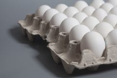 Scatola delle uova del cartone con le uova bianche del pollo Fotografia Stock Scatola delle uova del cartone con le uova bianche del pollo Fotografia Stock