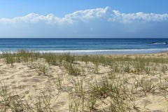 Scena della spiaggia della priorità alta della duna di sabbia immagine stock Scena della spiaggia della priorità alta della duna di sabbia immagine stock