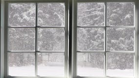Scena di caduta della neve stock footage Scena di caduta della neve stock footage