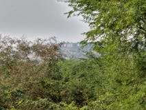 scena zdjęcia stock scena zdjęcia stock
