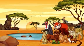 Scene With Animals In Desert Royalty Free Stock Image