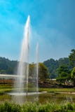 Scenery of botanic garden royalty free stock photos Scenery of botanic garden royalty free stock photos