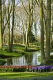 Scenic Garden In Lisse (Netherlands) Stock Images Scenic Garden In Lisse (Netherlands) Stock Images