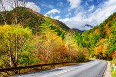 Scenic road among colorful fall woods. Autumn landscape royalty free stock image Scenic road among colorful fall woods. Autumn landscape royalty free stock image