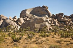Scenic Rocks And Trees In JoshuaPark Royalty Free Stock Photo Scenic Rocks And Trees In JoshuaPark Royalty Free Stock Photo