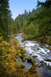 Scenic Rogue River - Oregon Stock Photo Scenic Rogue River - Oregon Stock Photo
