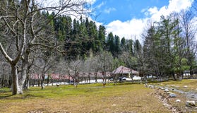 Scenic View of Park in Naran Valley, Pakistan stock photo Scenic View of Park in Naran Valley, Pakistan stock photo