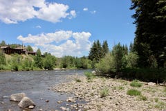 Scenic view of tall trees near a mountain stream. From the banks Stock Photography Scenic view of tall trees near a mountain stream. From the banks Stock Photography