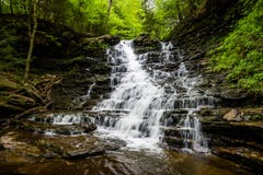 Scenic Waterfall in Ricketts Glen State Park in The Poconos in P royalty free stock photo Scenic Waterfall in Ricketts Glen State Park in The Poconos in P royalty free stock photo