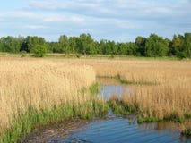 scenics стоковые изображения scenics стоковые изображения