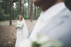 Sch?ne Braut und die Umfassung und das K?ssen an ihrem Hochzeitstag pflegen lizenzfreies stockfoto Sch?ne Braut und die Umfassung und das K?ssen an ihrem Hochzeitstag pflegen lizenzfreies stockfoto