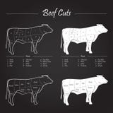 Schema dei tagli di carne del manzo illustrazione vettoriale Schema dei tagli di carne del manzo illustrazione vettoriale