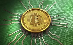 schema del chip del bitcoin 3d illustrazione vettoriale schema del chip del bitcoin 3d illustrazione vettoriale