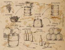 Schema di produzione vinicola illustrazione di stock Schema di produzione vinicola illustrazione di stock