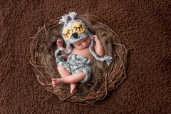 Schlafendes neugeborenes Baby, das Owl Hat trägt stockbilder Schlafendes neugeborenes Baby, das Owl Hat trägt stockbilder