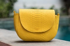 Schließen Sie oben von der Luxustasche stilvoller weiblicher snakseskin Pythonschlange draußen Teure weibliche Tasche der moderne stockfotos Schließen Sie oben von der Luxustasche stilvoller weiblicher snakseskin Pythonschlange draußen Teure weibliche Tasche der moderne stockfotos