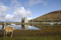 Schloss bei Lochranza in Schottland stockbilder Schloss bei Lochranza in Schottland stockbilder