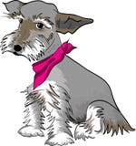 schnauzer ilustração stock schnauzer ilustração stock