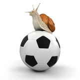 Schnecke und fuball beschneidungspfad eingeschlossen 33863595