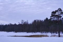 Schneedecke auf einem gefrorenen See lizenzfreies stockbild Schneedecke auf einem gefrorenen See lizenzfreies stockbild