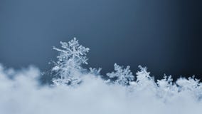schneeflocke Makrofoto des wirklichen Schneekristalles Saisonnatur des schönen Winterhintergrundes und das Wetter im Winter lizenzfreie stockfotografie schneeflocke Makrofoto des wirklichen Schneekristalles Saisonnatur des schönen Winterhintergrundes und das Wetter im Winter lizenzfreie stockfotografie