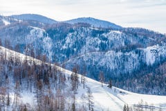 Schneewald im Winter Der schneebedeckte Gongnaisi-Wald im Winter lizenzfreie stockfotos Schneewald im Winter Der schneebedeckte Gongnaisi-Wald im Winter lizenzfreie stockfotos