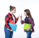 School colledge teenagers girl with stationary books notebooks royalty free stock photo School colledge teenagers girl with stationary books notebooks royalty free stock photo
