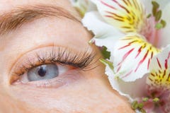 Schoonheid en manierconcept - de Procedures van de Wimperuitbreiding het meisje met blauwe ogen snakt kunstmatige Wimpers en witt stock foto's Schoonheid en manierconcept - de Procedures van de Wimperuitbreiding het meisje met blauwe ogen snakt kunstmatige Wimpers en witt stock foto's