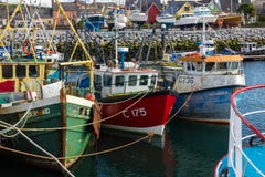 schronienie połowowego łódź dingo Irlandia zdjęcie stock schronienie połowowego łódź dingo Irlandia zdjęcie stock